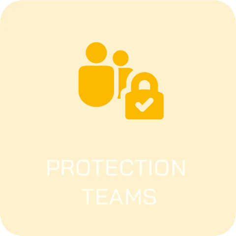 Teams Protection Icon