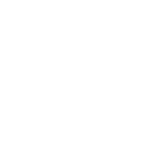 shield check icon png